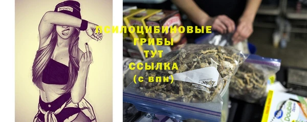 COCAINE Богородицк